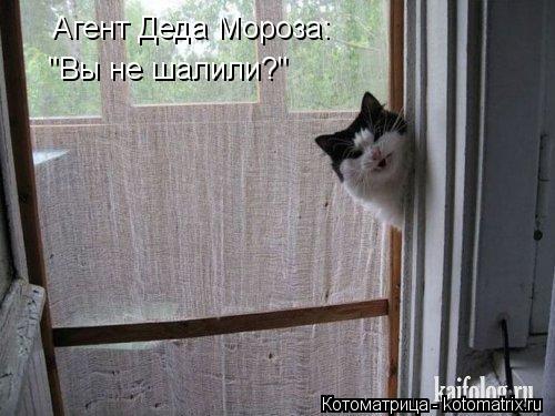 Котоматрица: Агент Деда Мороза: "Вы не шалили?"