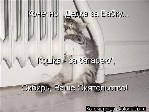 Котоматрица: Конечно!  Дедка за Бабку... Кошка - за батарею", Сибирь, Ваше Сиятельство!