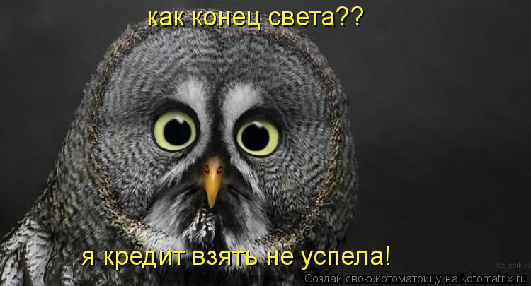 Котоматрица: как конец света?? я кредит взять не успела!