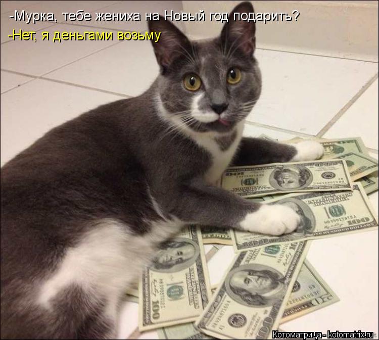 Котоматрица: -Мурка, тебе жениха на Новый год подарить? -Нет, я деньгами возьму