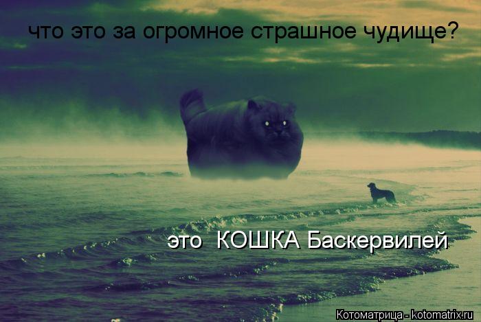 Котоматрица: что это за огромное страшное чудище? это  КОШКА Баскервилей