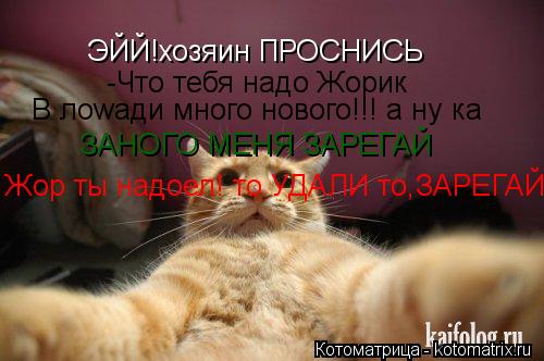 Котоматрица: ЭЙЙ!хозяин ПРОСНИСЬ -Что тебя надо Жорик В лоwади много нового!!! а ну ка  ЗАНОГО МЕНЯ ЗАРЕГАЙ Жор ты надоел! то УДАЛИ то,ЗАРЕГАЙ!