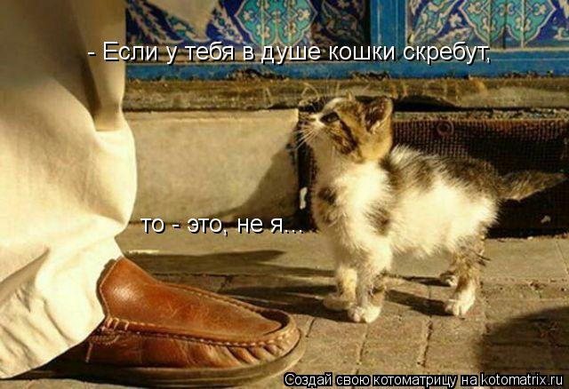 Котоматрица: - Если у тебя в душе кошки скребут, то - это, не я...