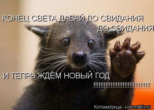 Котоматрица: !!!!!!!!!!!!!!!!!!!!!!!!!!!!!!!!! КОНЕЦ СВЕТА ДАВАЙ ДО СВИДАНИЯ  ДО СВИДАНИЯ И ТЕПРЬ ЖДЁМ НОВЫЙ ГОД