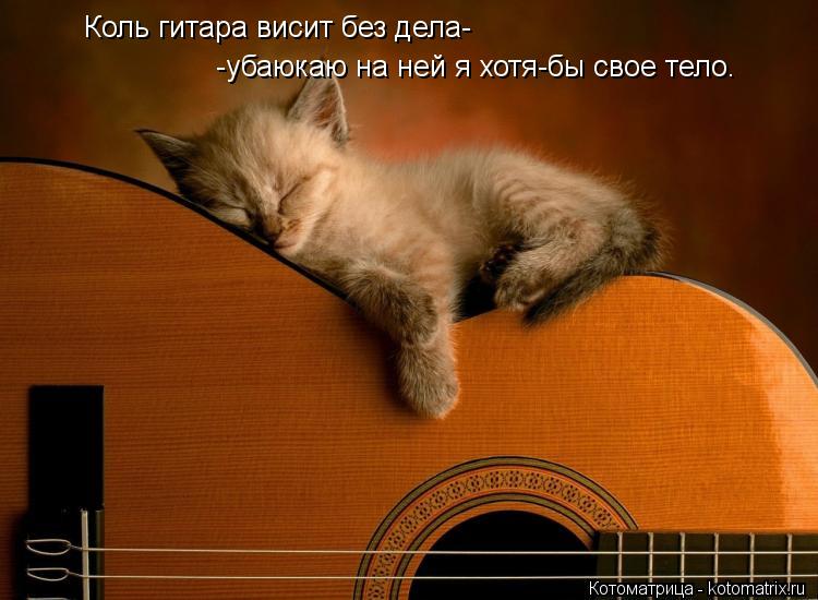 Котоматрица: Коль гитара висит без дела- -убаюкаю на ней я хотя-бы свое тело.