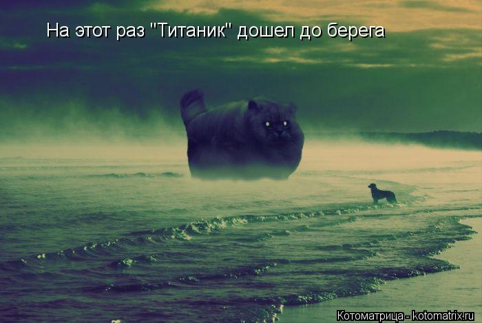 Котоматрица: На этот раз "Титаник" дошел до берега