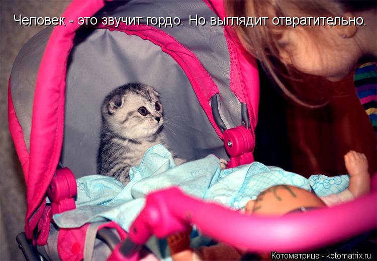 Котоматрица: Человек - это звучит гордо. Но выглядит отвратительно.