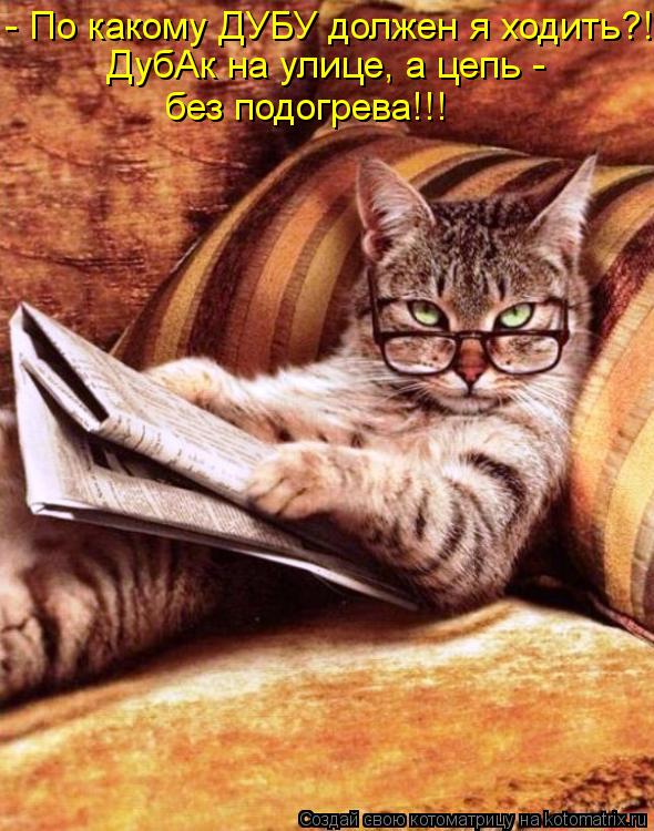 Котоматрица: - По какому ДУБУ должен я ходить?!! ДубАк на улице, а цепь -  без подогрева!!!