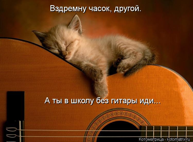 Котоматрица: Вздремну часок, другой.  А ты в школу без гитары иди...