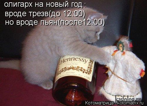 Котоматрица: вроде трезв(до 12:00) но вроде пьян(после12:00) олигарх на новый год :
