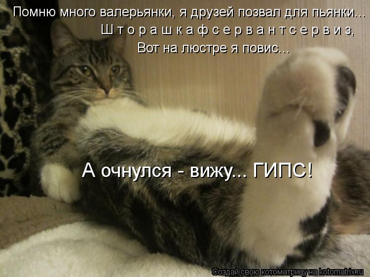 Котоматрица: Помню много валерьянки, я друзей позвал для пьянки... Ш т о р а ш к а ф с е р в а н т с е р в и з, Вот на люстре я повис... А очнулся - вижу... ГИПС!