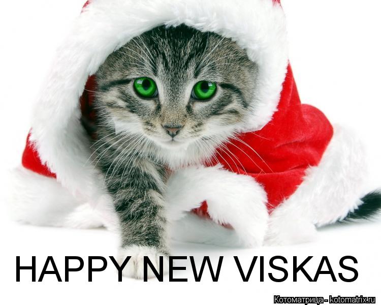 Котоматрица: HAPPY NEW VISKAS