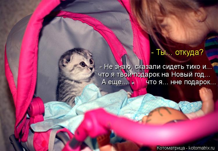 - Ты... откуда? - Не знаю, но мне сказали сидеть тихо и что я твой подарок на Новый год... - Не знаю,... Котоматрица: - Ты... откуда? - Не знаю, но мне сказали сидеть тихо и что я твой подарок на Новый год... - Не знаю, сказали сидеть тихо и... А еще... что я... нне