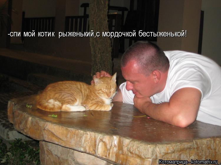 Котоматрица: -спи мой котик  рыженький,с мордочкой бестыженькой!