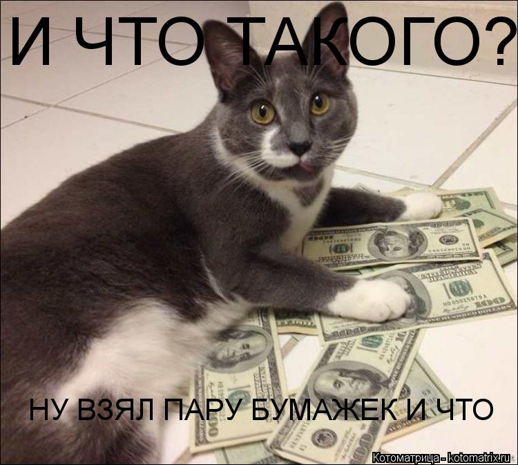 Котоматрица: И ЧТО ТАКОГО? НУ ВЗЯЛ ПАРУ БУМАЖЕК И ЧТО