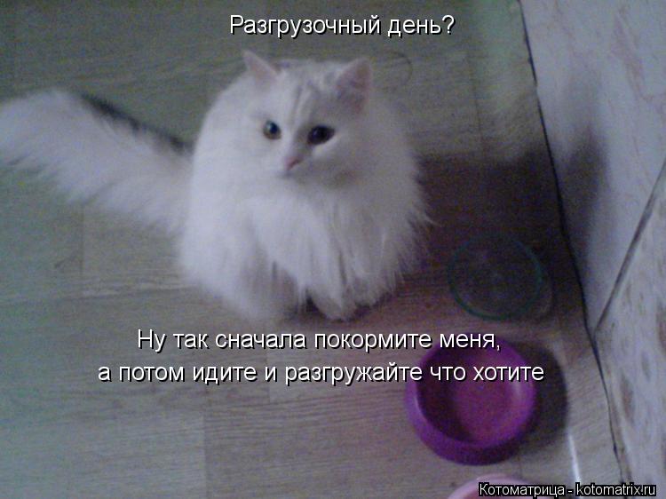 Котоматрица: Разгрузочный день? Ну так сначала покормите меня, а потом идите и разгружайте что хотите