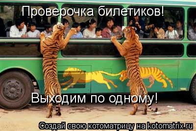 Котоматрица: Проверочка билетиков!  Выходим по одному!