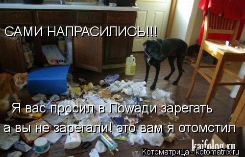 Котоматрица: САМИ НАПРАСИЛИСЬ!!! Я вас просил в Лоwади зарегать а вы не зарегали! это вам я отомстил