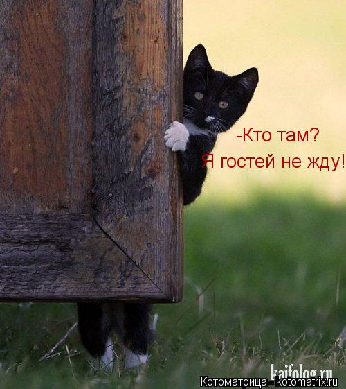 Котоматрица: -Кто там? Я гостей не жду!