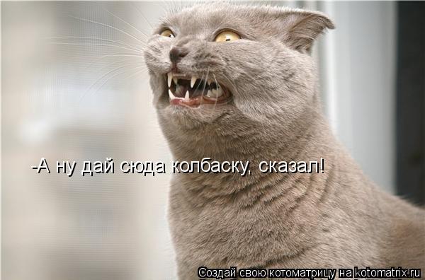 Котоматрица: -А ну дай сюда колбаску, сказал!