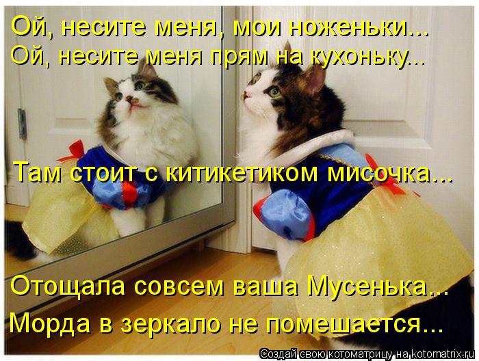 Котоматрица: Ой, несите меня, мои ноженьки... Ой, несите меня прям на кухоньку... Там стоит с китикетиком мисочка... Отощала совсем ваша Мусенька... Морда в зе