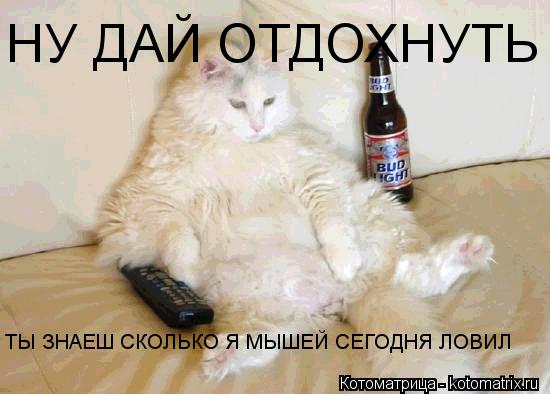 Котоматрица: НУ ДАЙ ОТДОХНУТЬ ТЫ ЗНАЕШ СКОЛЬКО Я МЫШЕЙ СЕГОДНЯ ЛОВИЛ