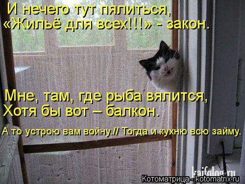 Котоматрица: И нечего тут пялиться, «Жильё для всех!!!» - закон. Мне, там, где рыба вялится, Хотя бы вот – балкон. А то устрою вам войну.// Тогда и кухню всю за