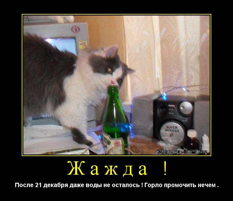 Котоматрица: Жажда ! После 21 декабря даже воды не осталось ! Горло промочить нечем .