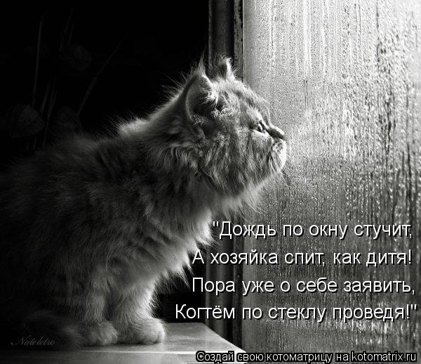Котоматрица: Когтём по стеклу проведя!" Пора уже о себе заявить, А хозяйка спит, как дитя! "Дождь по окну стучит,