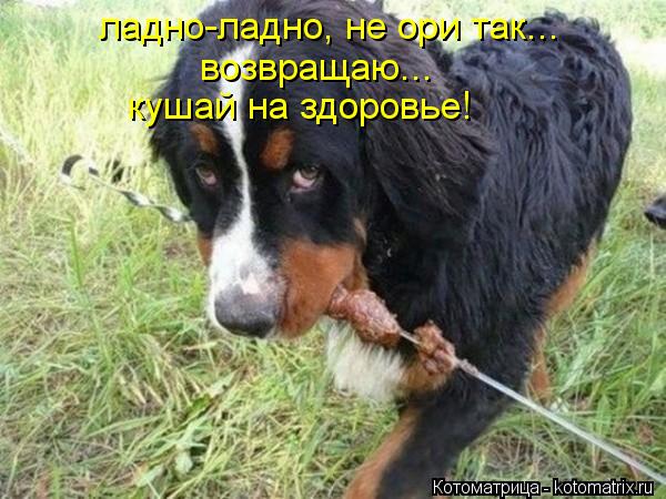 Котоматрица: ладно-ладно, не ори так... возвращаю... кушай на здоровье!