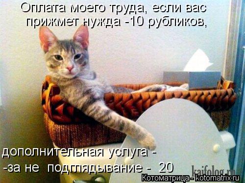 Котоматрица: Оплата моего труда, если вас  прижмет нужда -10 рубликов, дополнительная услуга - -за не  подглядывание -  20