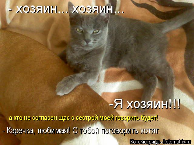 Котоматрица: - хозяин... хозяин... -Я хозяин!!! а кто не согласен щас с сестрой моей говорить будет!  - Кэречка, любимая! С тобой поговорить хотят.