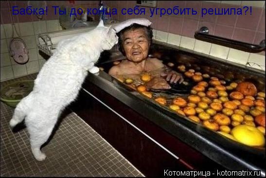 Котоматрица: Бабка! Ты до конца себя угробить решила?!