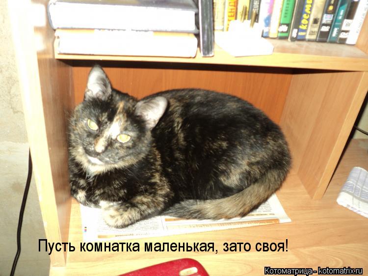 Котоматрица: Пусть комнатка маленькая, зато своя!