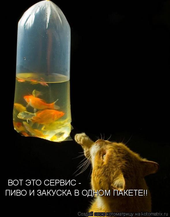 Котоматрица: ВОТ ЭТО СЕРВИС - ПИВО И ЗАКУСКА В ОДНОМ ПАКЕТЕ!!