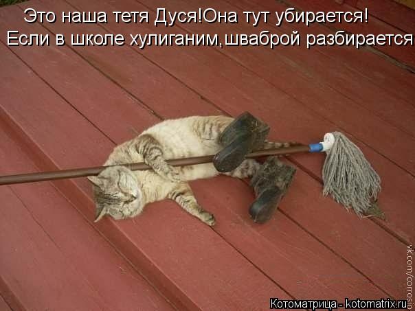Котоматрица: Это наша тетя Дуся!Она тут убирается! Если в школе хулиганим,шваброй разбирается!