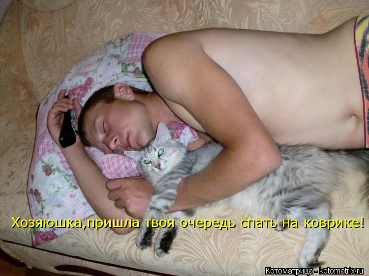 Котоматрица: Хозяюшка,пришла твоя очередь спать на коврике!