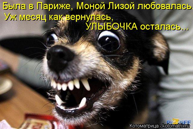 Котоматрица: Была в Париже, Моной Лизой любовалась.. Уж месяц как вернулась, УЛЫБОЧКА осталась...