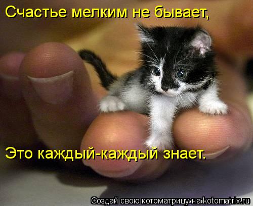 Котоматрица: Счастье мелким не бывает, Это каждый-каждый знает.