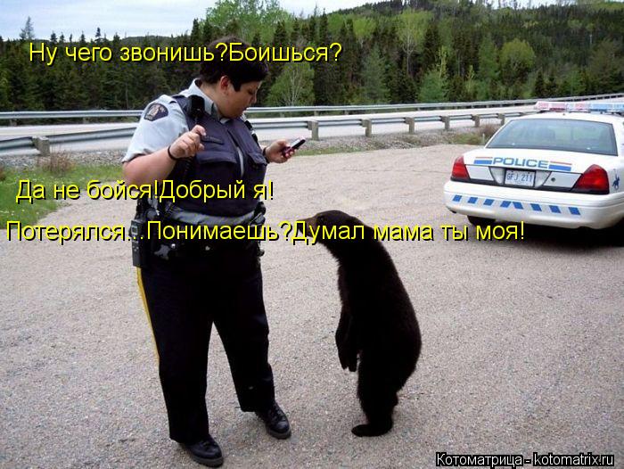 Котоматрица: Ну чего звонишь?Боишься? Да не бойся!Добрый я! Потерялся...Понимаешь?Думал мама ты моя!