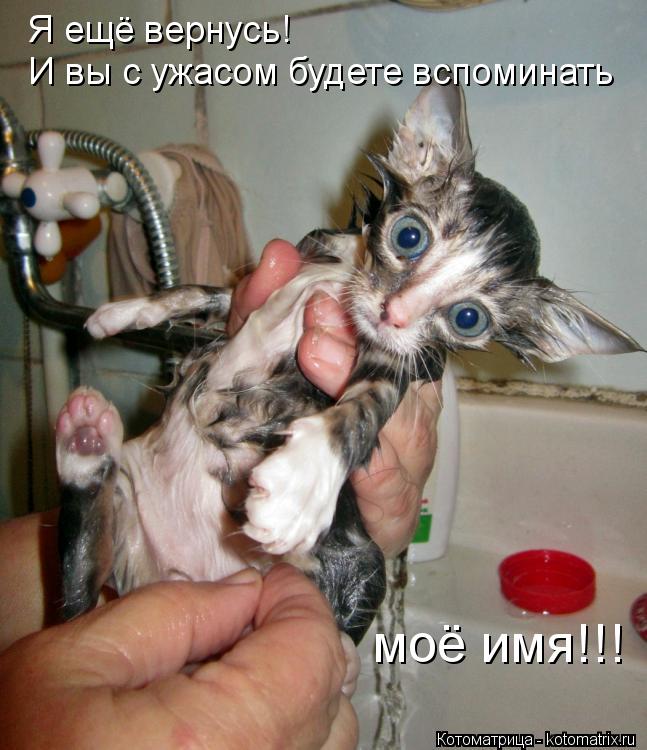Котоматрица: Я ещё вернусь! И вы с ужасом будете вспоминать моё имя!!!