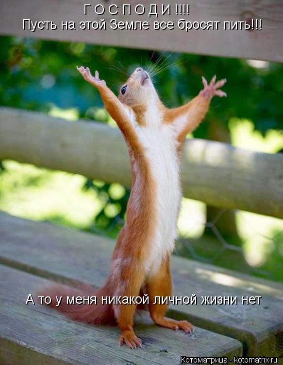 Котоматрица: Г О С П О Д И !!!! Пусть на этой Земле все бросят пить!!! А то у меня никакой личной жизни нет