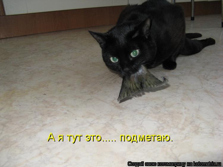 Котоматрица: А я тут это..... подметаю.