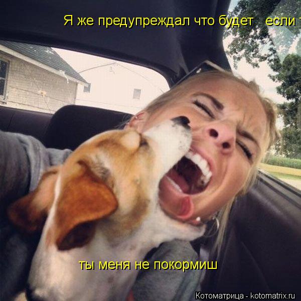 Котоматрица: Я же предупреждал что будет   если ты меня не покормишь ты меня не покормиш