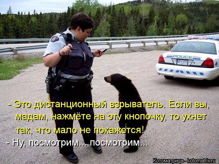 Котоматрица: - Ну, посмотрим... посмотрим... - Это дистанционный взрыватель. Если вы, мадам, нажмёте на эту кнопочку, то ухнет так, что мало не покажется!