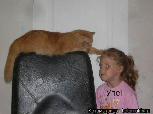 Котоматрица: Упс!