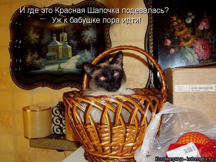 Котоматрица: И где это Красная Шапочка подевалась? Уж к бабушке пора идти!