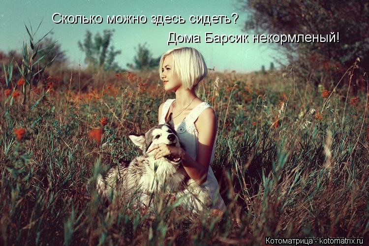 Котоматрица: Сколько можно здесь сидеть? Дома Барсик некормленый!