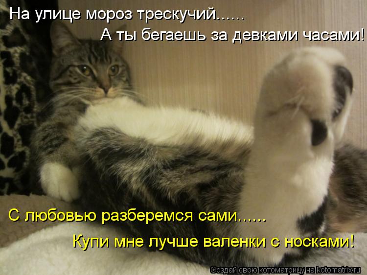 Котоматрица: А ты бегаешь за девками часами! На улице мороз трескучий...... С любовью разберемся сами...... Купи мне лучше валенки с носками!