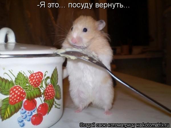-Я это... посуду вернуть...... Котоматрица: -Я это... посуду вернуть...